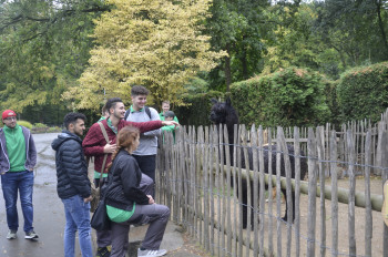 Tatkräftige Unterstützung bekam der Dortmunder Zoo von den Murtfeldt-Azubis.